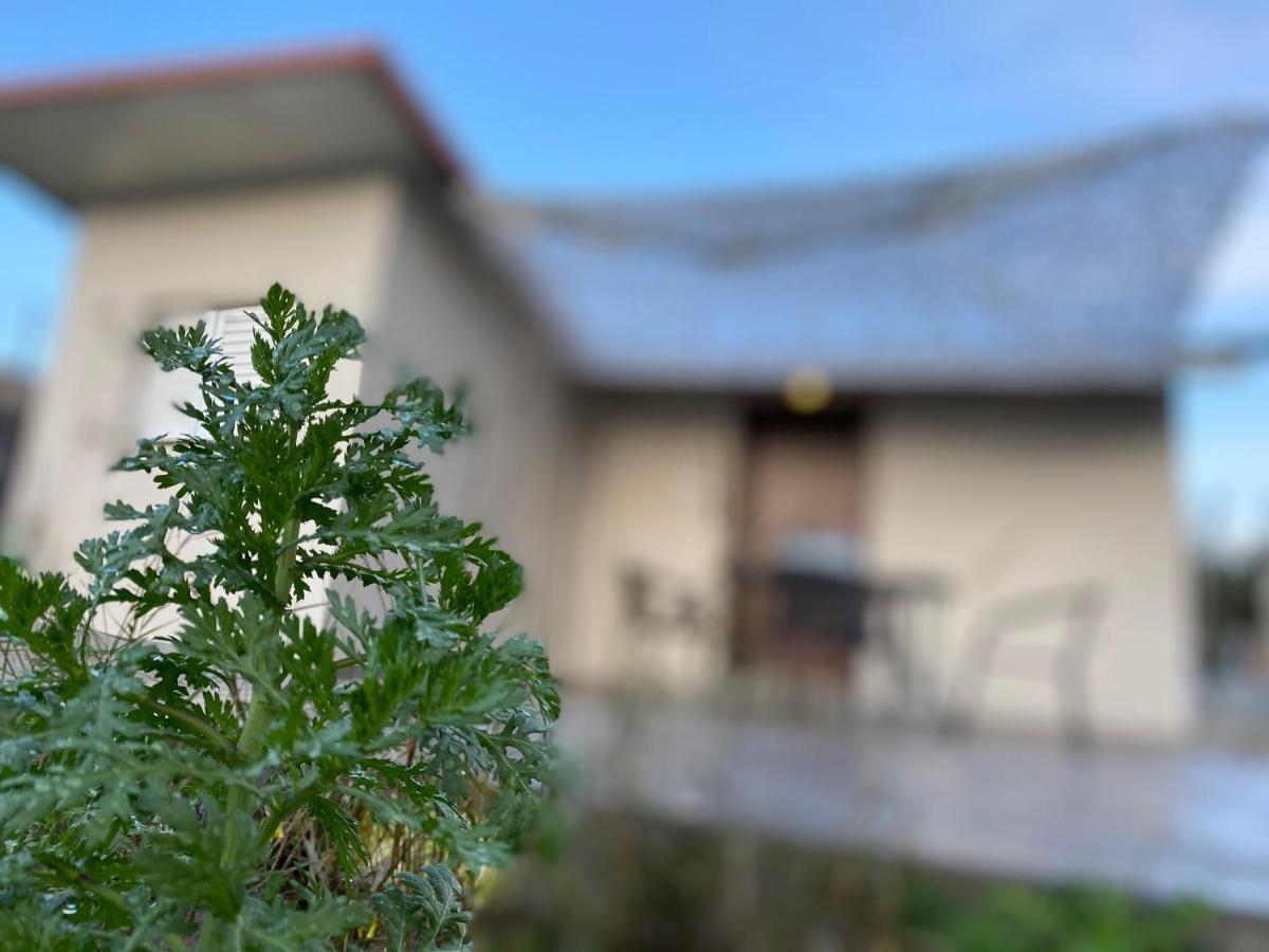 Riqionian House Βίλα Βρωμονέρι Εξωτερικό φωτογραφία
